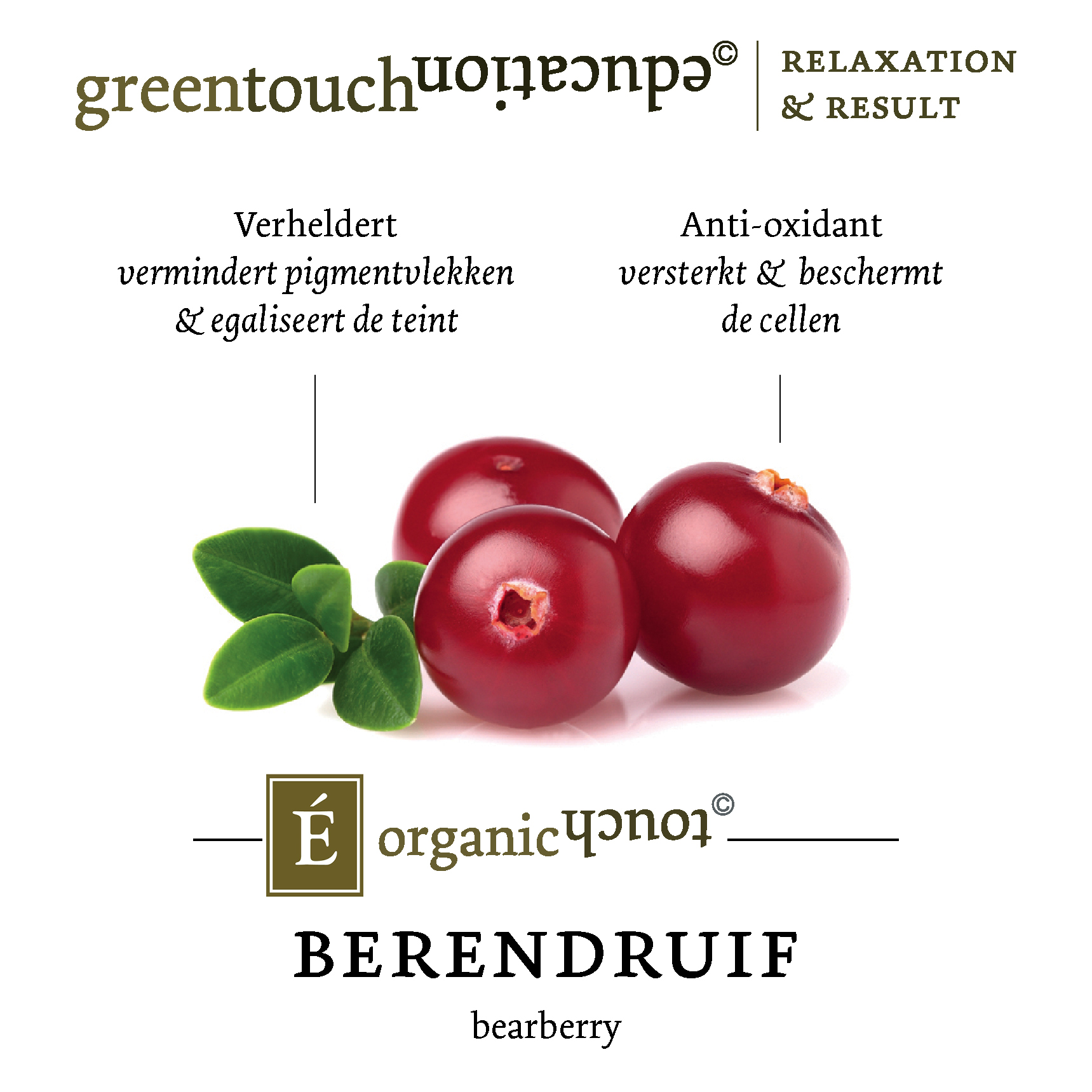 GTE OT INSTA Ingredientenlabel Berendruif