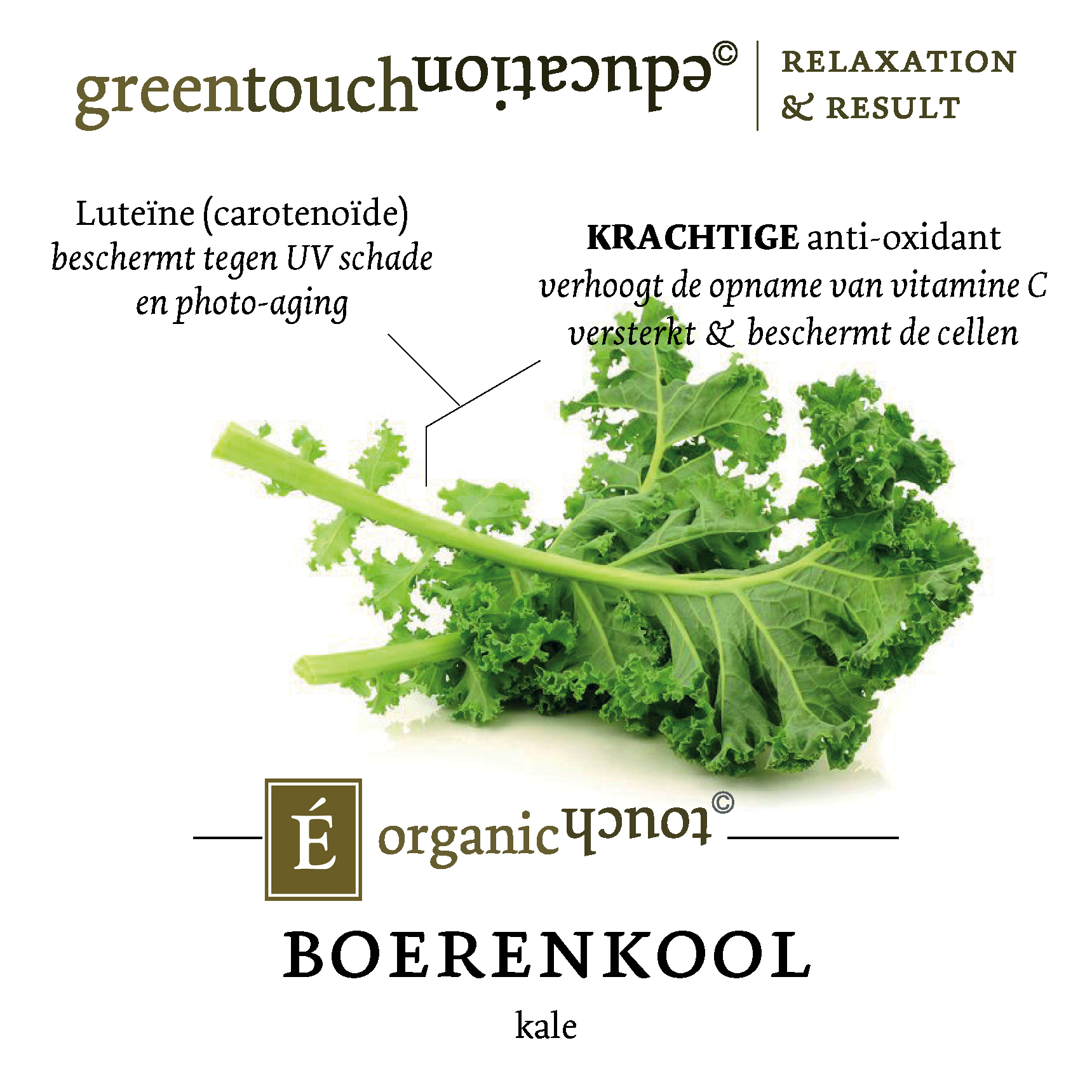 GTE OT INSTA Ingredientenlabel Boerenkool