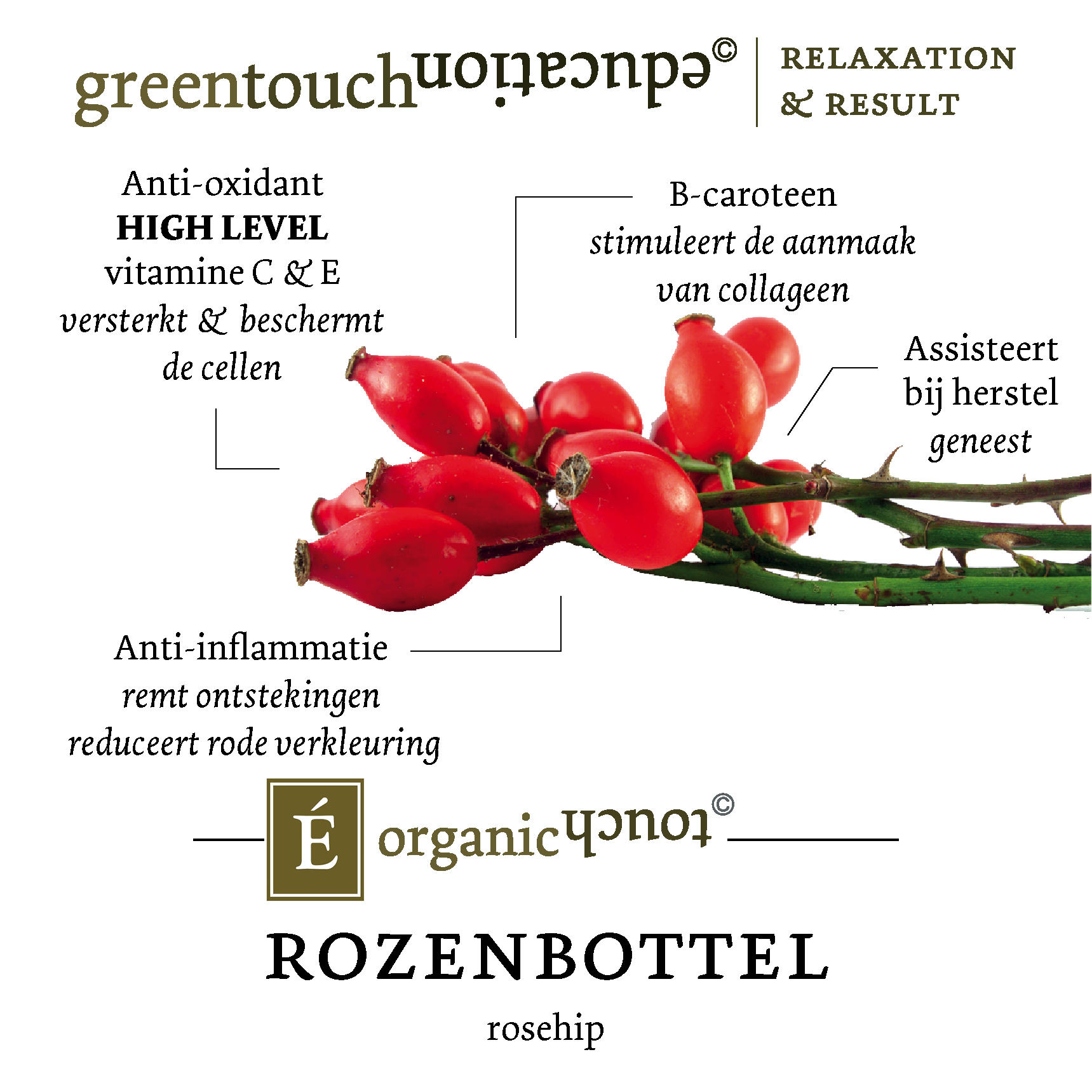 GTE OT INSTA Ingredientenlabel Rozenbottel